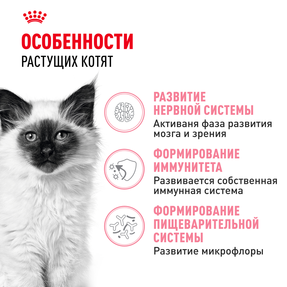Royal Canin Kitten Киттен Корм сухой сбалансированный для котят в период второй фазы роста до 12 месяцев 1,2кг