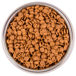 Сухой низкозерновой корм для котят и беременных кошек Monge Cat BWild LOW GRAIN Kitten из мяса гуся 1,5 кг