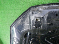 DSCN8595.jpg