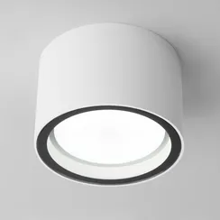 Потолочный светильник уличный Light 35144/H Elektrostandard