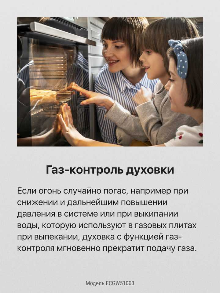 Газовая плита Hansa FCGW51003