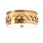 Ceiling design lamp    Paszab