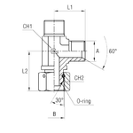 Соединение PFNL BSP 5/8