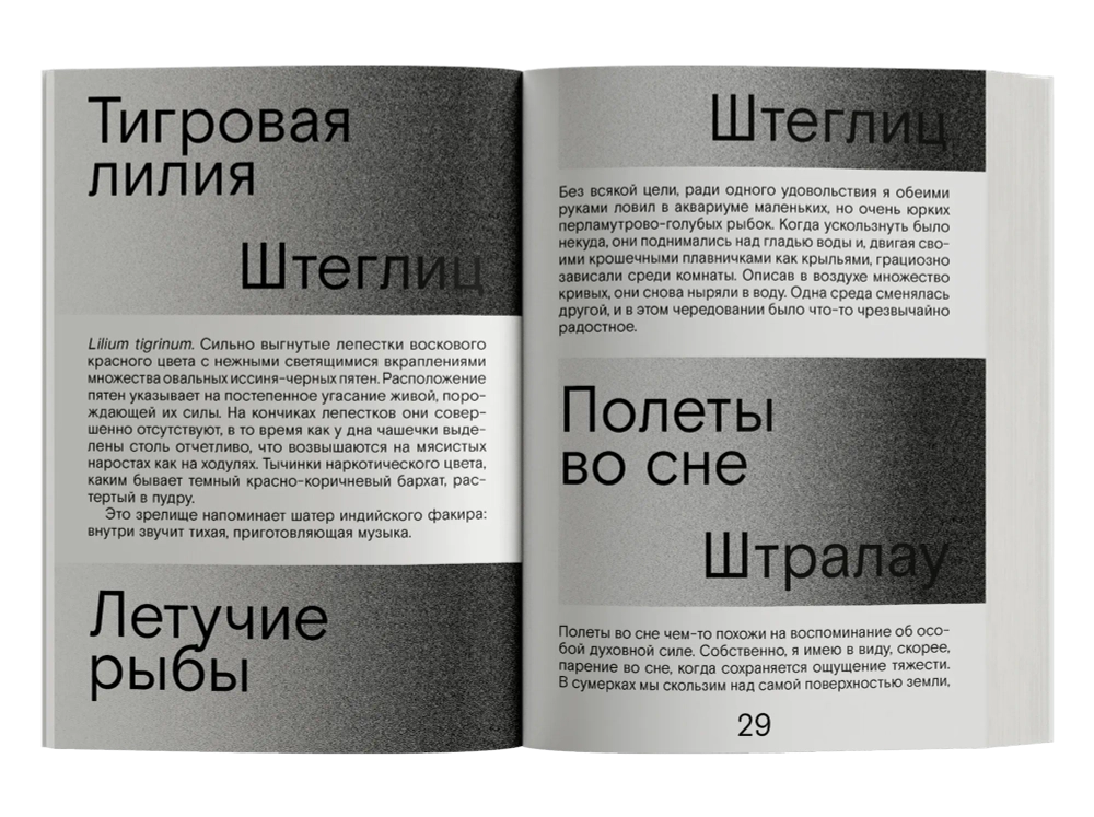 Сердце искателя приключений