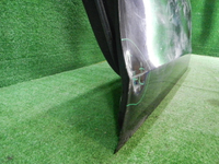 DSCN1493.JPG