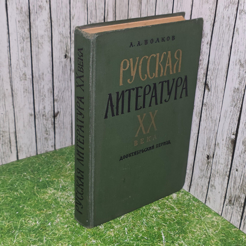 Книга "Русская литература XX века/Дооктябрьский период"
