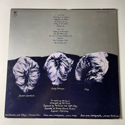 Винтажная виниловая пластинка LP The Police Reggatta De Blanc (Japan 1979) (No Obi)