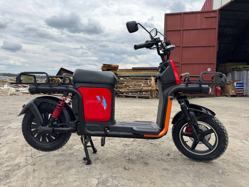 Электроскутер SIMgo Thunder 30 (U5)