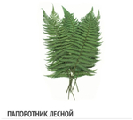 Комбинированное панно из мха ягеля, пластового и кочек