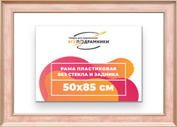 Рама 50x85 для картин и фотографий