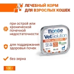 Влажный корм диетический Monge VetSolution Cat Renal and Oxalate Ренал и Оксалат для кошек при ХПН и профилактике образования оксалатов 100 г - 24 шт