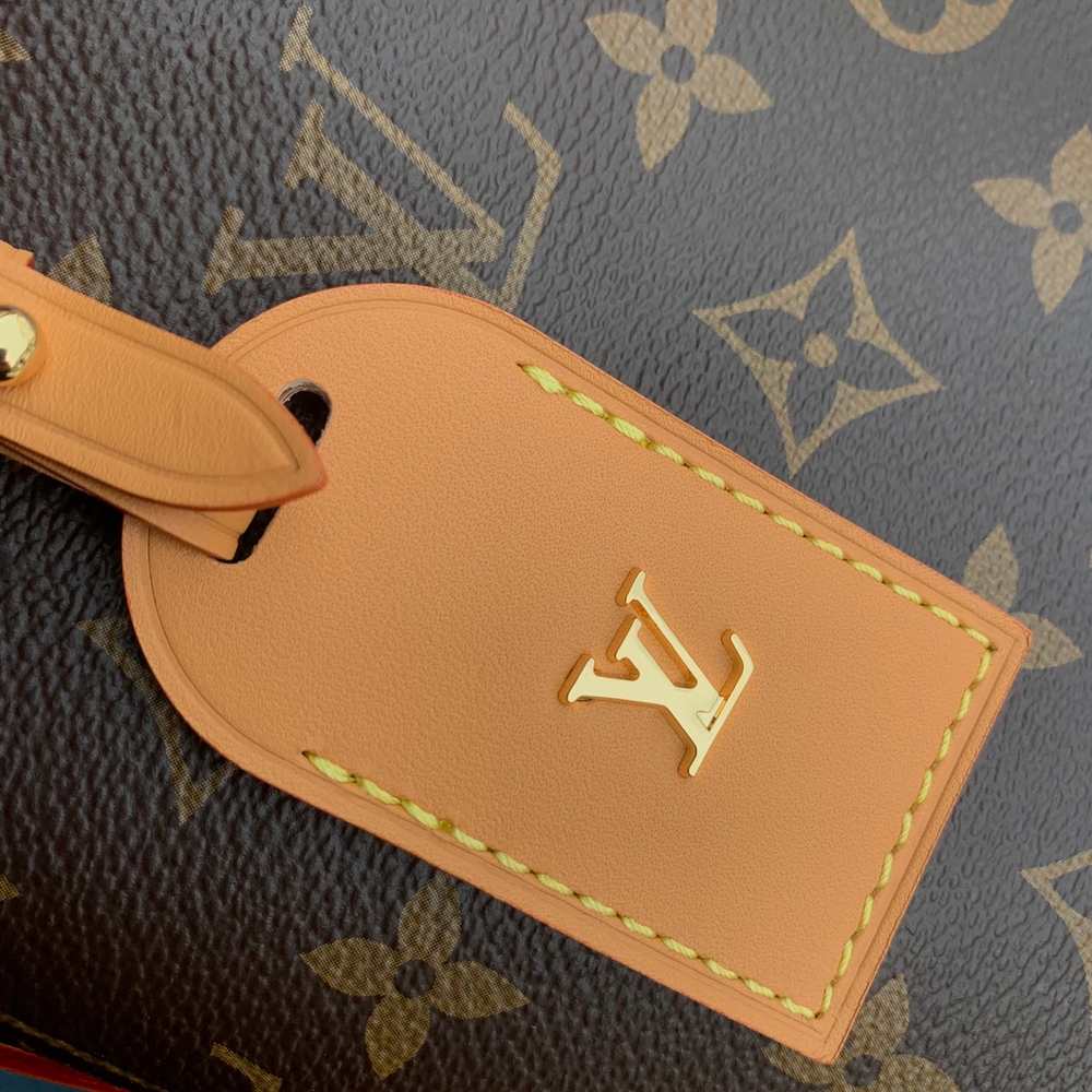 Louis Vuitton CarryAll PM