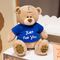 Yumşaq oyuncaq \ Мягкая игрушка \ Soft toys Teddy 10 sm