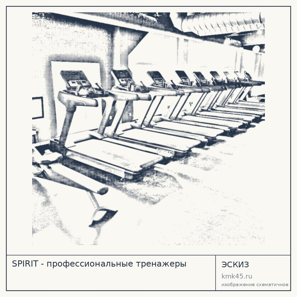 Эскиз: SPIRIT - профессиональные тренажеры