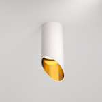 Накладной светильник Maytoni Technical Lipari C044CL-01-15GU10-W