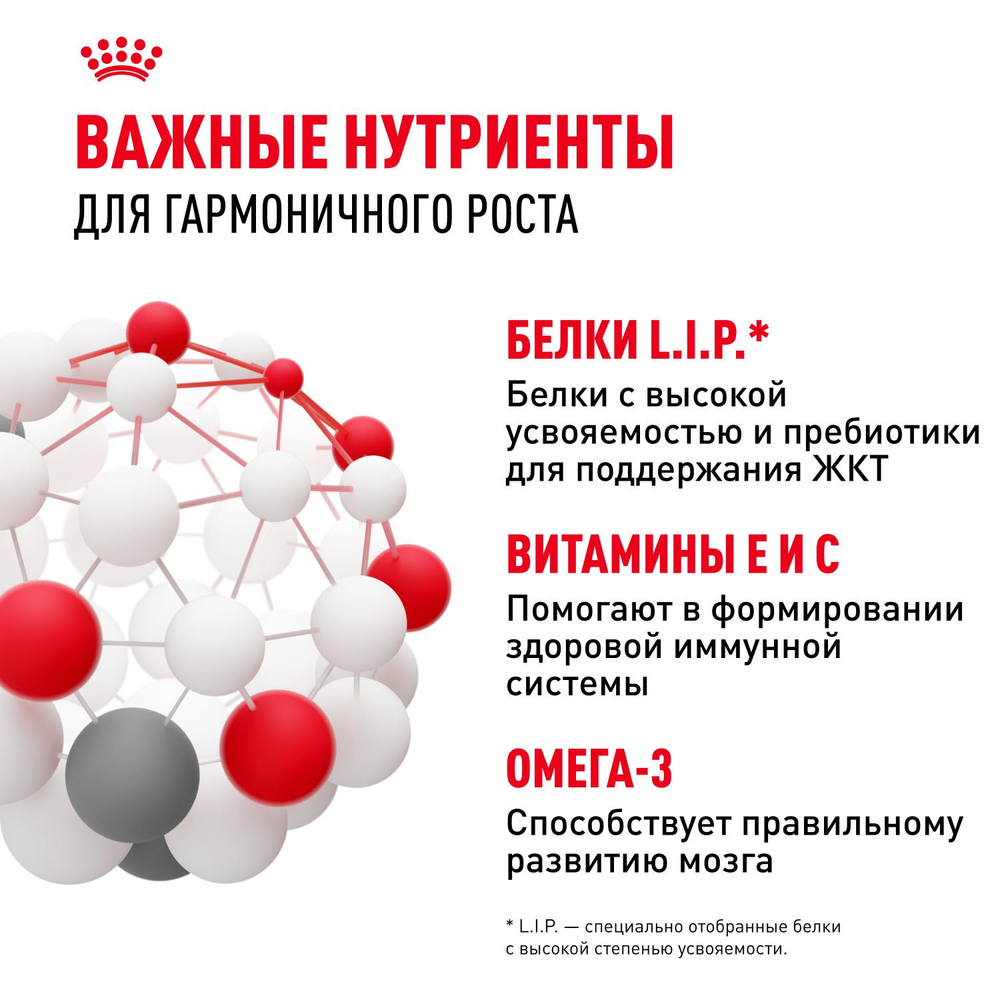 Royal Canin Mini Puppy Мини Паппи Корм влажный для щенков мелких пород в возрасте до 10 месяцев соус 85г
