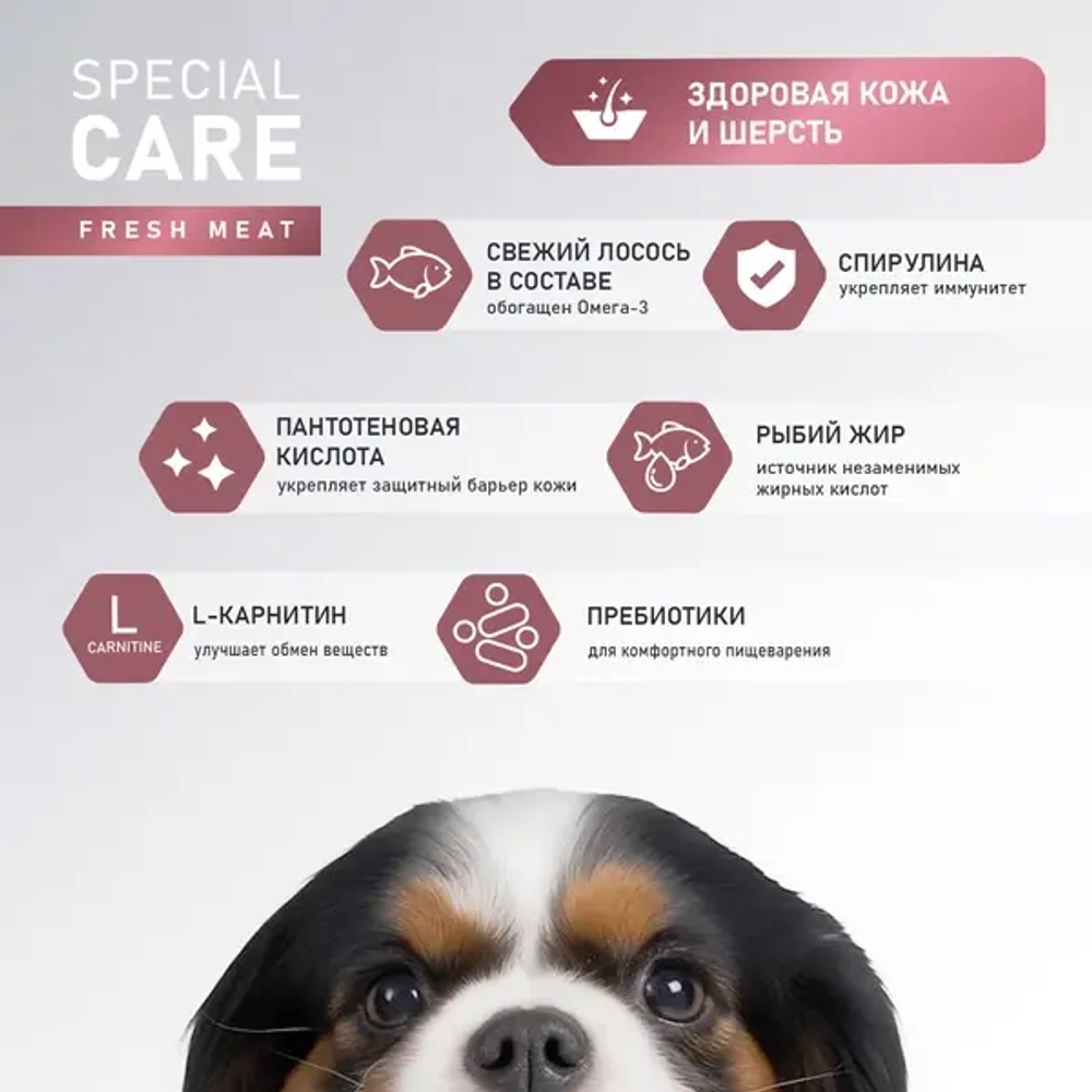 Сухой корм AWARD SPECIAL CARE Sensitive Skin&Coat для собак всех пород для здоровой кожи и шерсти со свежим лососем 2кг