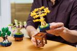 Конструктор LEGO The Botanical Collection 10373 Mini Bonsai Trees
