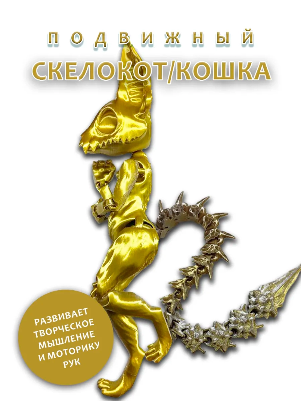 Скелет Кошки