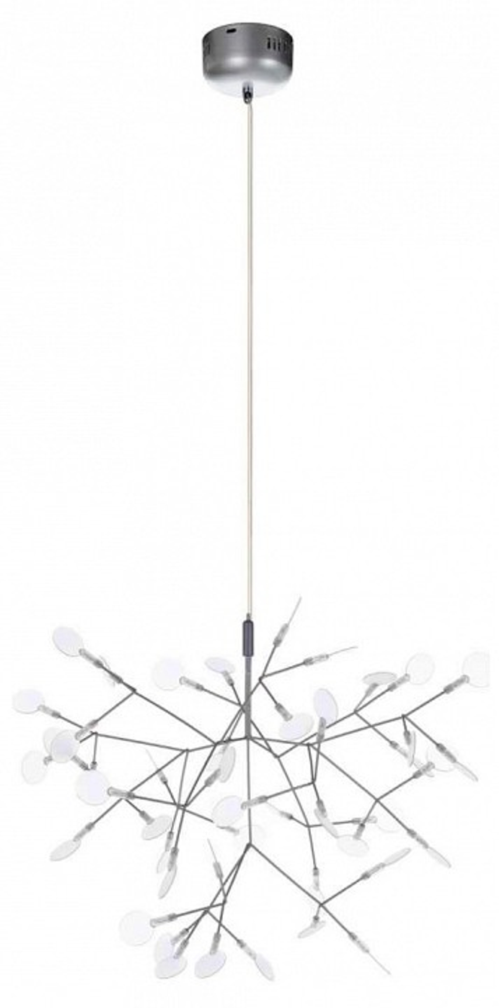Подвесная люстра Loft it Heracleum 9022-45S