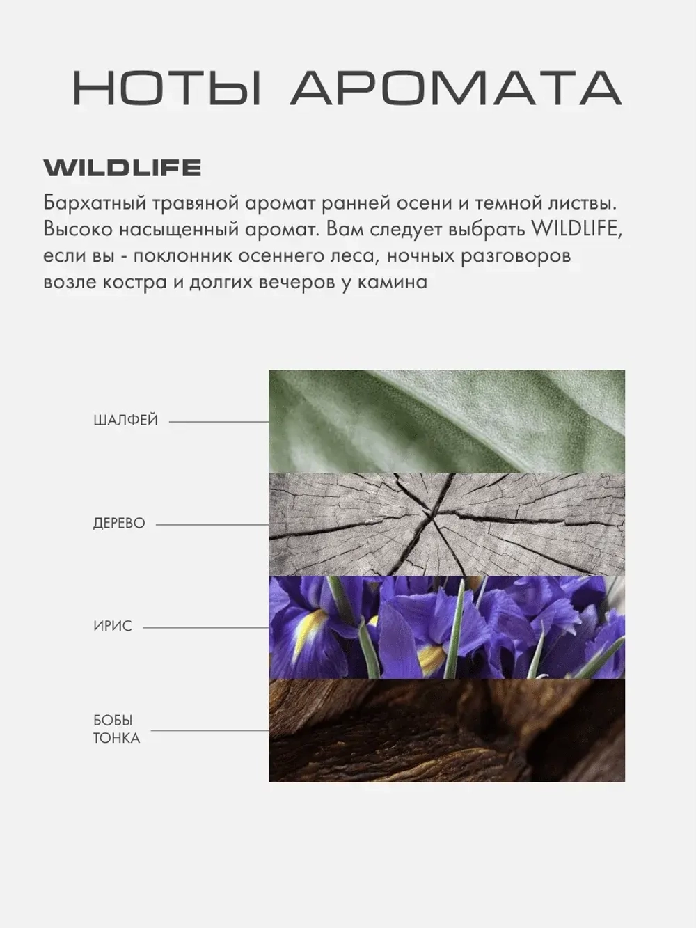 Диффузор Дикая природа (Wildlife) L
