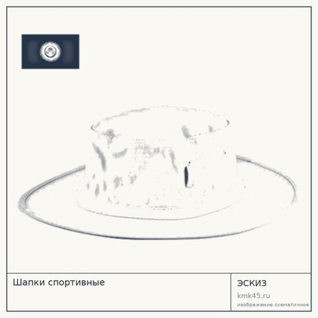 Шапки спортивные