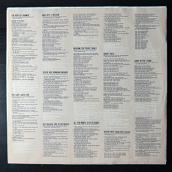 Виниловая пластинка Don Henley ‎– Building The Perfect Beast LP