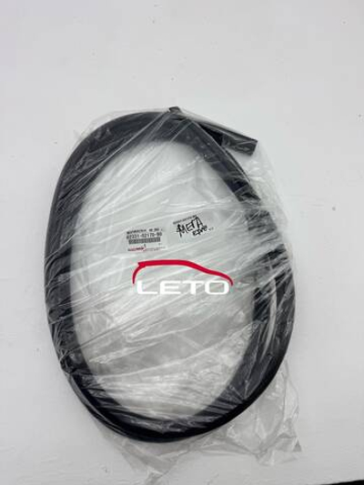 WEATHERSTRIP, RR DOO62331-02170-B0 6233102170B0