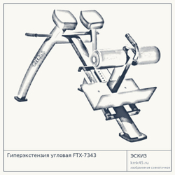 Гиперэкстензия угловая FTX-7343 — от 68 000 ₽
