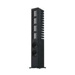 Piega Master Line Source 3 Black Matt