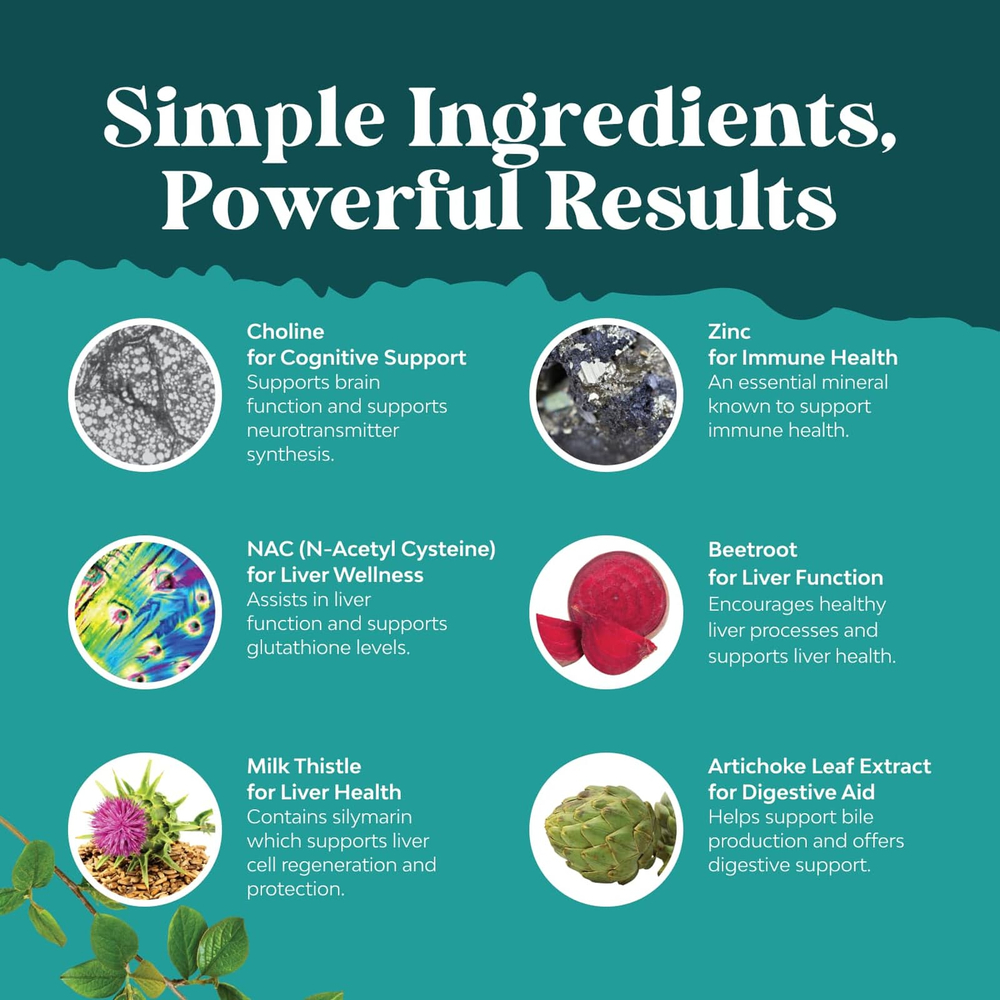 Nature's Craft, NAC для поддержки печени с экстрактом расторопши, 60 капсул