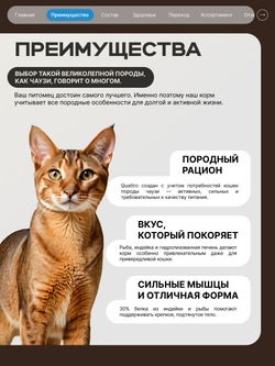 Корм сухой для взрослых кошек породы Чаузи, с лососем, 2 кг, QUATTRO