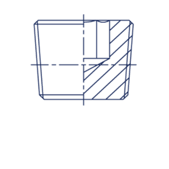 Заглушка (Ш) BSPT 3/8