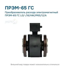 Преобразователь расхода электромагнитный ПРЭМ-65 ГС L0/-/16/НЖ/IP65/12/A