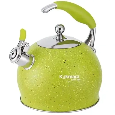 Чайник из нержавеющей стали, со свистком,3л, LIME