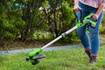 Триммер аккумуляторный Greenworks G24LT301, 24V, 30 см, с 1хАКБ 4А и ЗУ (2113207UB)