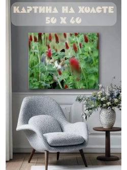 Картина на стену 40 X 50 Кошка в траве