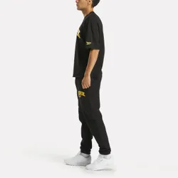 Брюки спортивные мужские REEBOK NELLIE JOGGER
