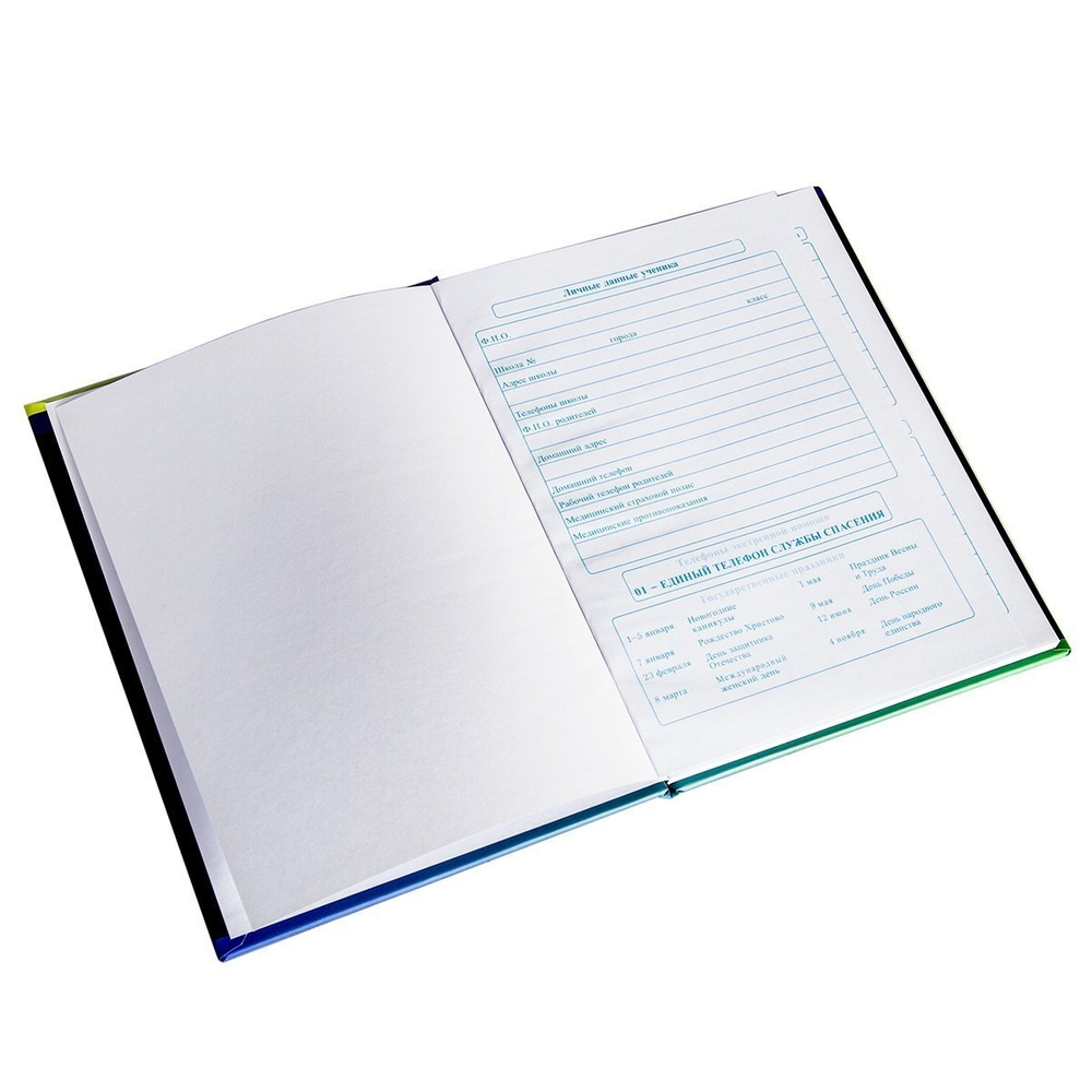 Дневник школьный Alingar 1-11 кл. 48л. 7БЦ , ламинированный картон, поролон, выб лак,"Stylish cars. Water"