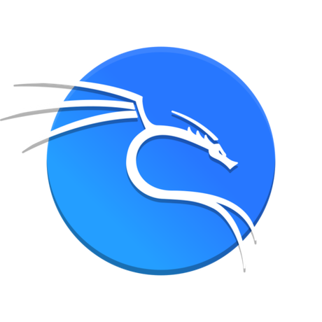 Kali Linux 2025.1