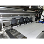 Комплекс трансферной печати на ткани Colors DTF, XP600*2шт, 30см (FlexiPrint),сушка-конвейер