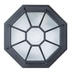 Потолочный светильник уличный Pegasus A3100PL-1BK Arte Lamp
