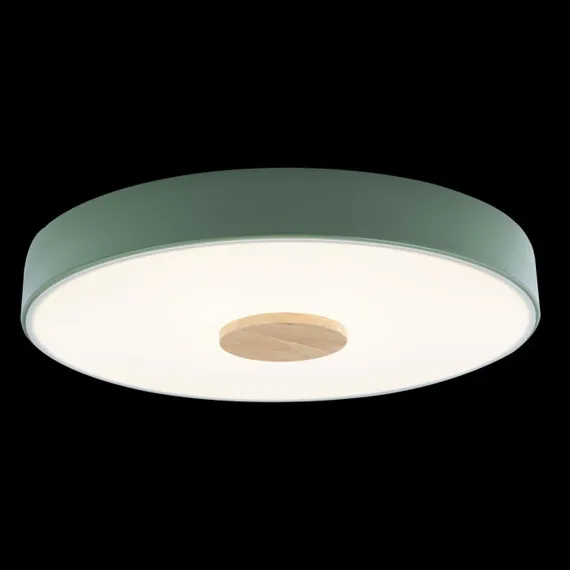 Потолочный светильник Axel 10003/24 Green Loft It