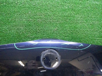 DSCN6049.jpg