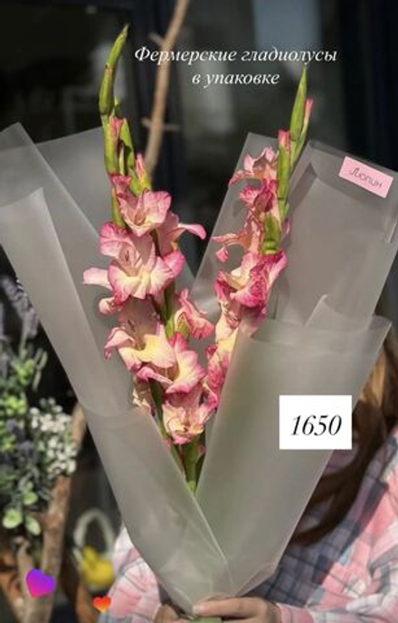 Фермерские гладиолусы