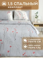 Постельное белье 1,5 спальное хлопок 70х70 Инсбрук