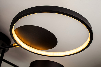 Потолочный светильник LED4U L250-8