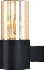 Настенный светильник уличный Seginus A6515AL-1BK Arte Lamp