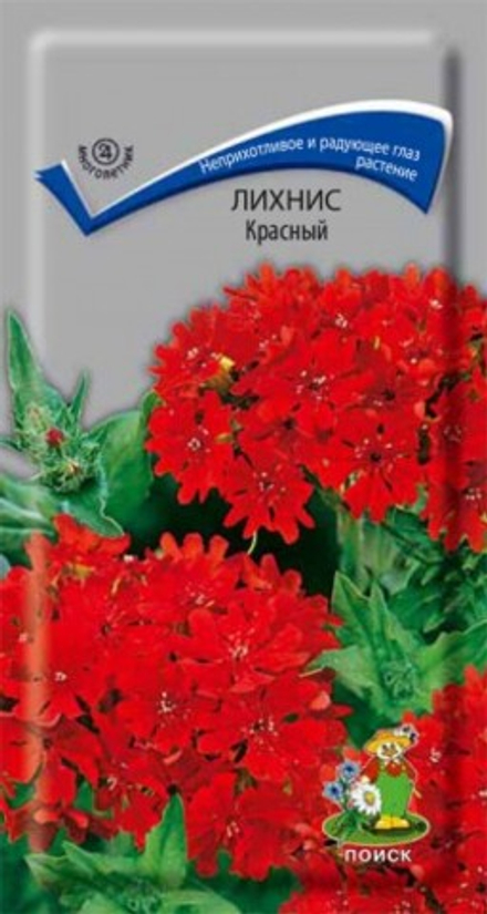Лихнис Красный 0,1гр Поиск