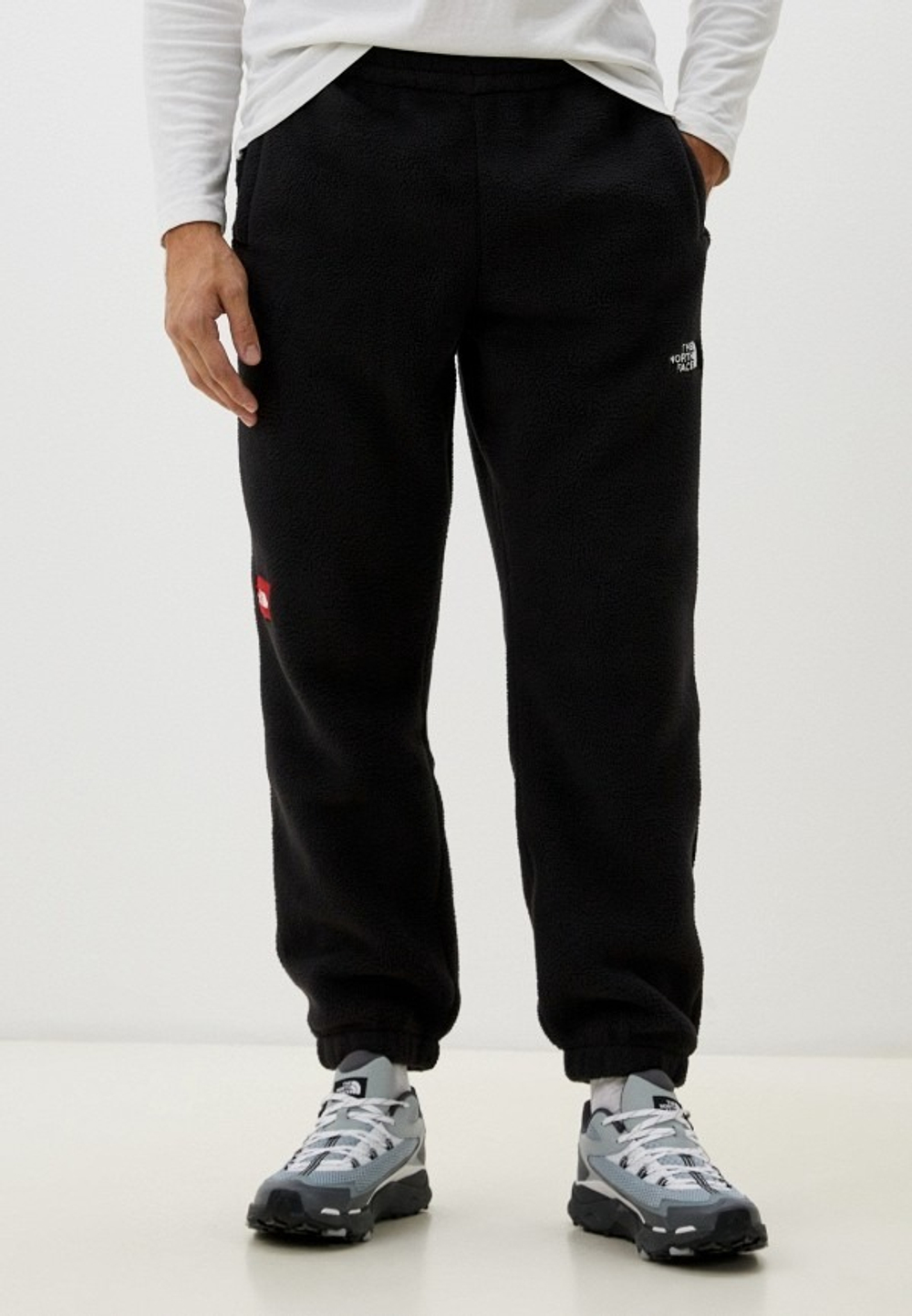 Брюки спортивные мужские THE NORTH FACE M TNF FLEESKI PANT